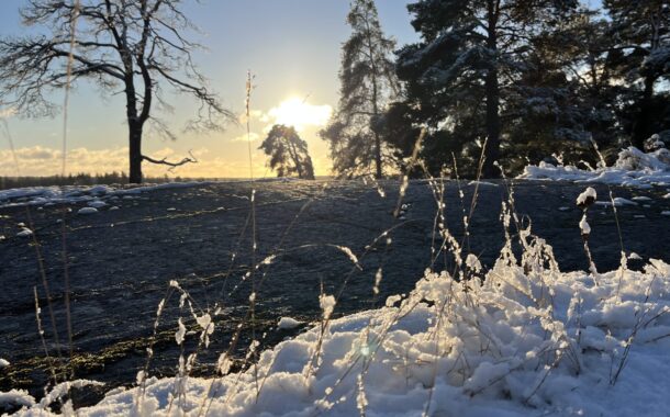 Mild vinter på varvsplan